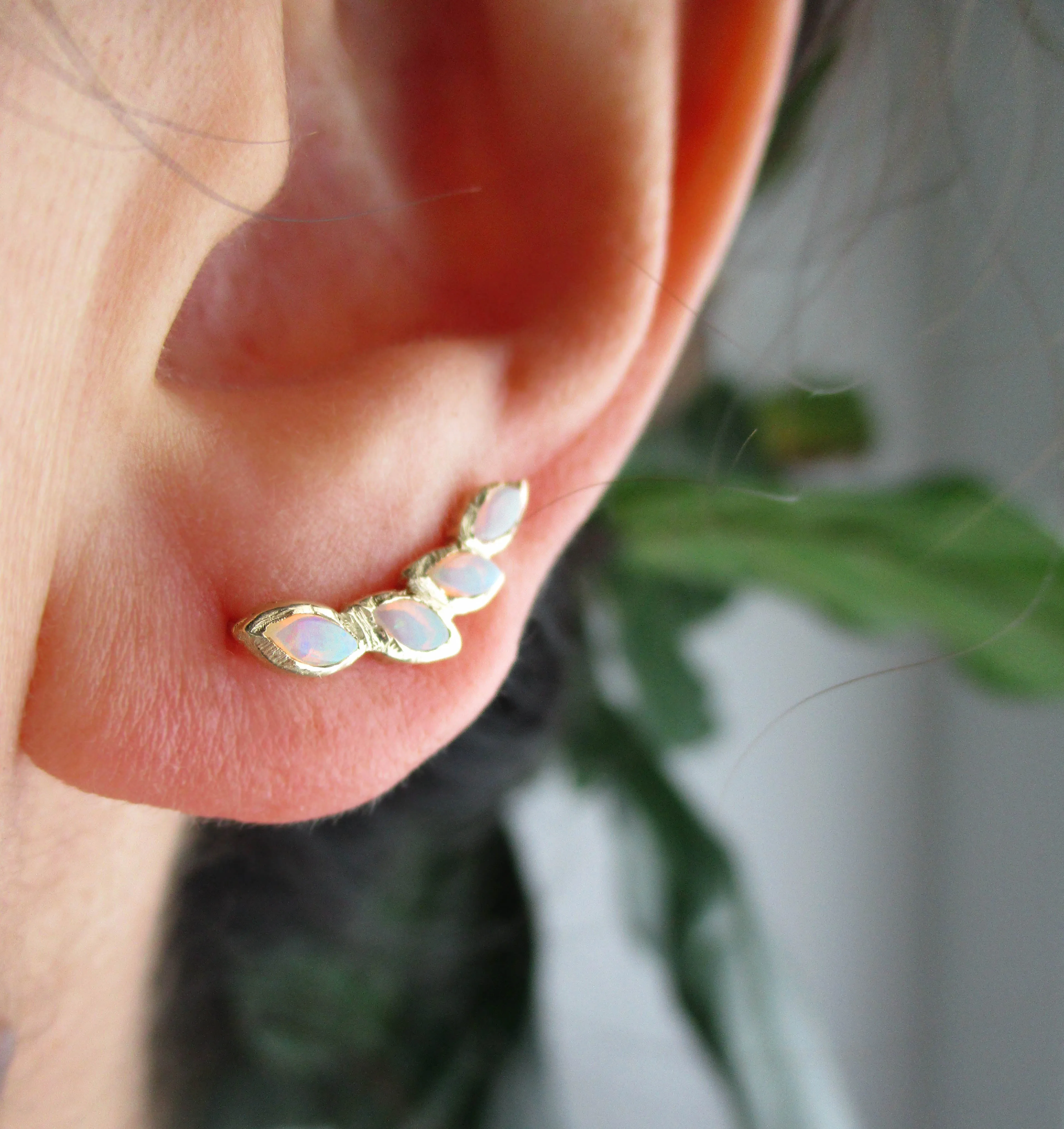 Petal Opal Ear Crawler