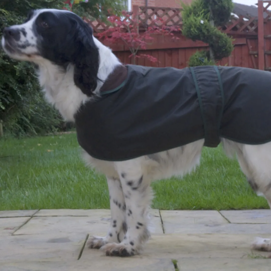 Wax Jacket for Terriers and Small Dogs